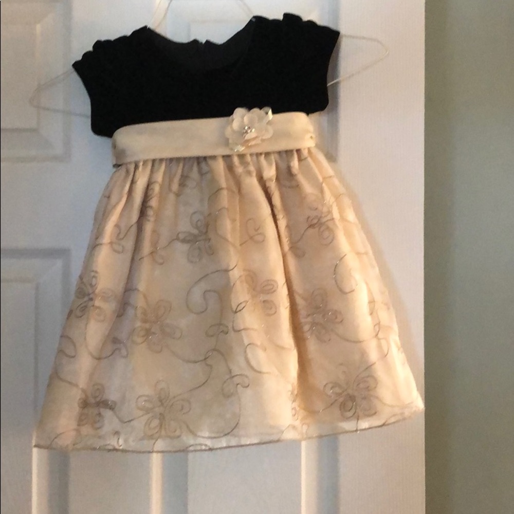 Cinderella brand formal toddler dress